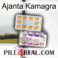 Ajanta Kamagra new12